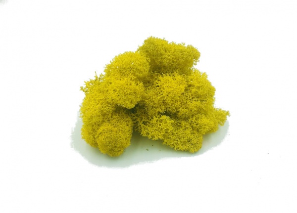 Purified Reindeer Moss Yellow 0,5 kg FINNISH